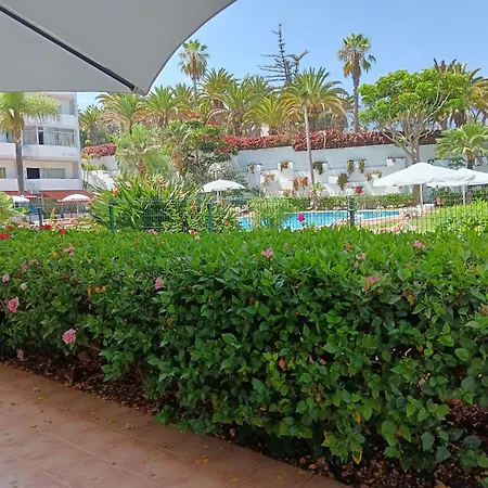 Molino Blanco 107 Daire Puerto de la Cruz (Tenerife)